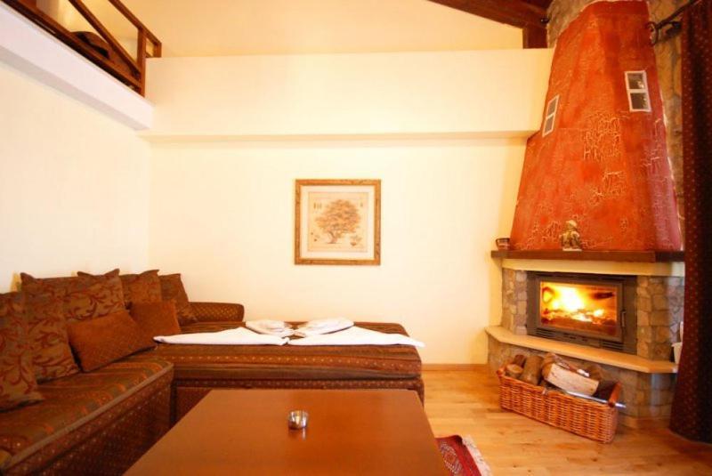 Vasilitsa Spa Resort Grevena Kamer foto