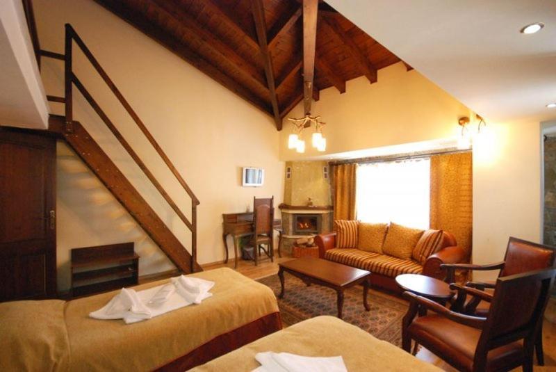 Vasilitsa Spa Resort Grevena Kamer foto