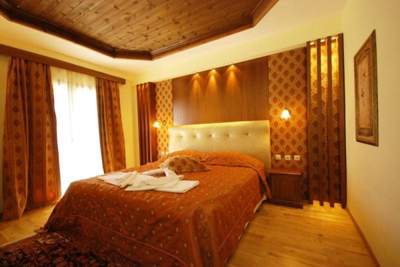 Vasilitsa Spa Resort Grevena Kamer foto