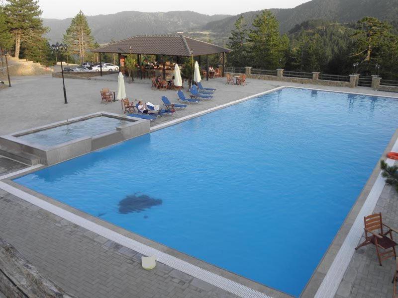 Vasilitsa Spa Resort Grevena Buitenkant foto